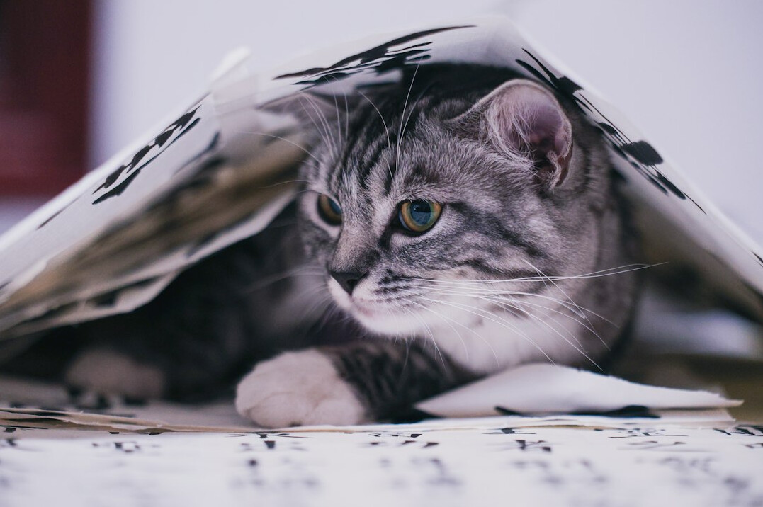 Newspapers and a notebook on a desk in a newsroom