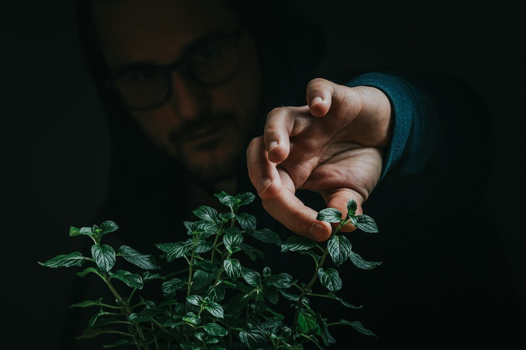 Portrait of a man with a beard holding a plant