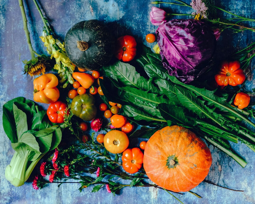 harvesting home vegetables