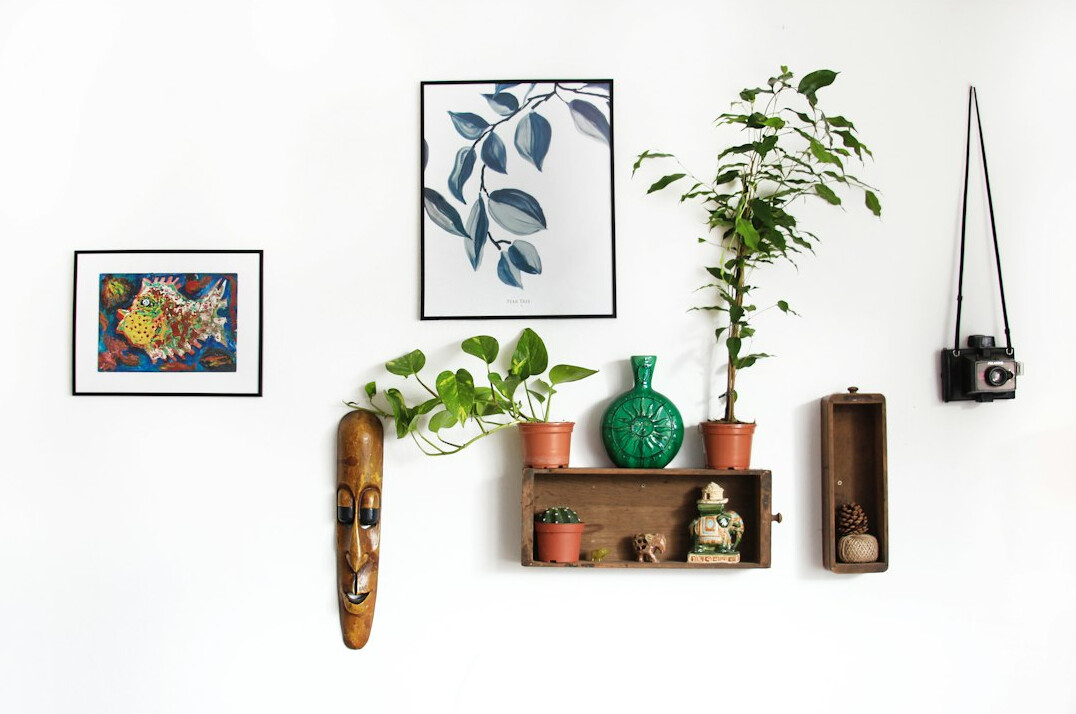 floating shelves with potted plants