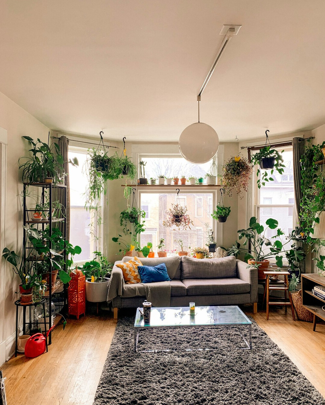 small apartment filled with indoor plants